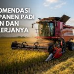 10-Rekomendasi-Mesin-Panen-Padi-Modern-Dan-Cara-Kerjanya