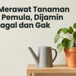 Cara-Merawat-Tanaman-untuk-Pemula-Dijamin-Anti-Gagal-dan-Gak-Ribet-