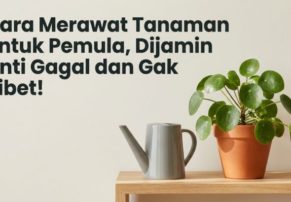 Cara-Merawat-Tanaman-untuk-Pemula-Dijamin-Anti-Gagal-dan-Gak-Ribet-