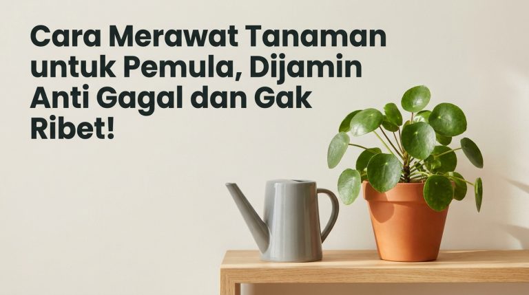Cara-Merawat-Tanaman-untuk-Pemula-Dijamin-Anti-Gagal-dan-Gak-Ribet-