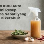 Ulat-dan-Kutu-Auto-Kabur-Ini-Resep-Pestisida-Nabati-yang-Jarang-Diketahui-